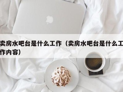 郑州卖房水吧台是什么工作（卖房水吧台是什么工作内容）