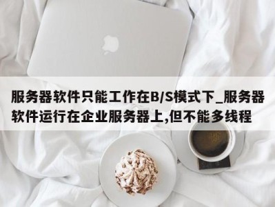 郑州服务器软件只能工作在B/S模式下_服务器软件运行在企业服务器上,但不能多线程 