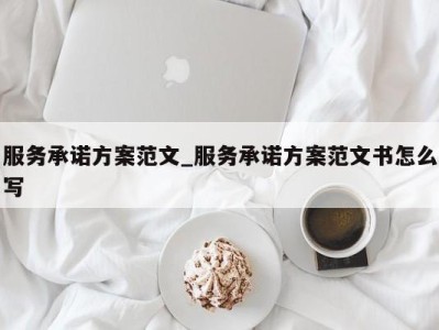 郑州服务承诺方案范文_服务承诺方案范文书怎么写 